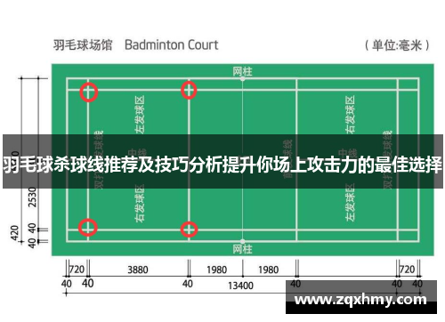 羽毛球杀球线推荐及技巧分析提升你场上攻击力的最佳选择